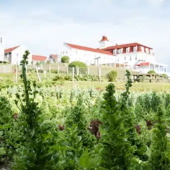 The barn Block island